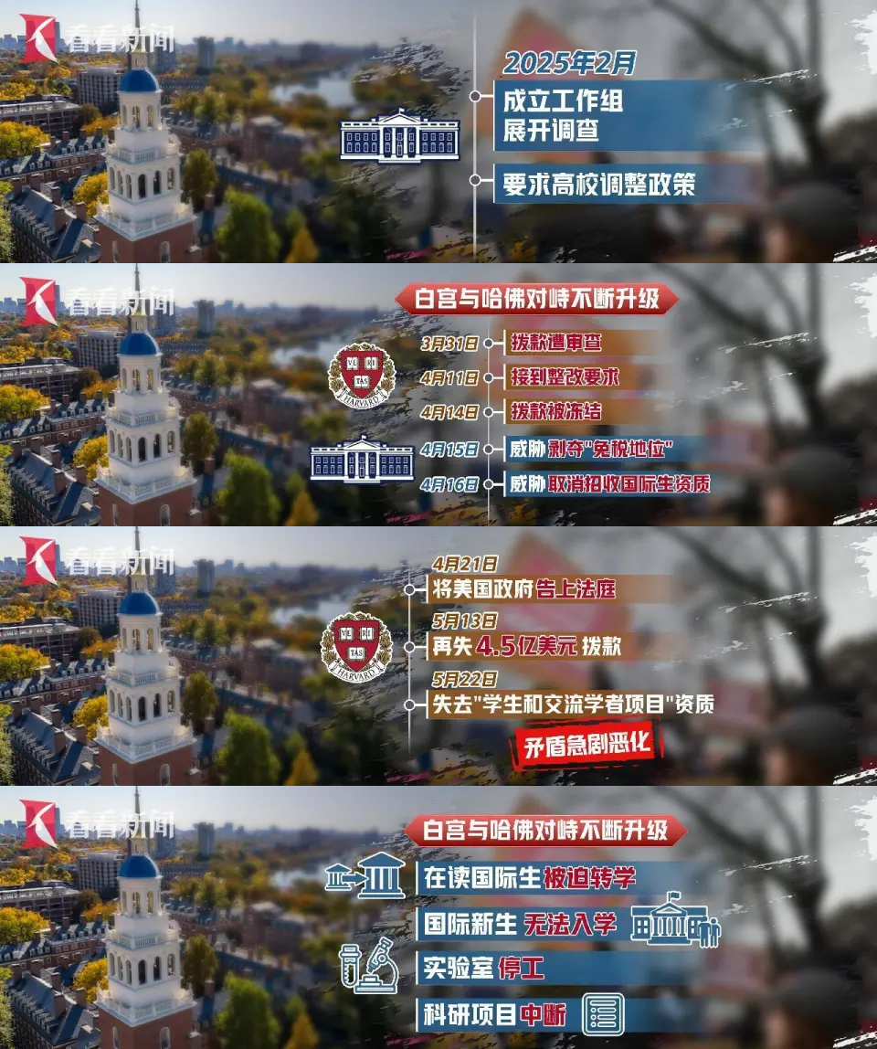 画板 1.png